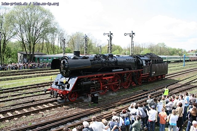 Der deutsche Gast 03 1010 in Wolsztyn auf Paradefahrt (03.05.2008).