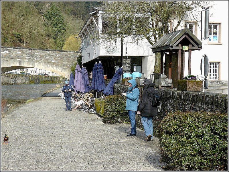 Der Enterich weckt groes Interesse bei den Fotografen in Vianden, dabei hatte er anderes im Sinn, als fotografiert zu werden... 29.03.09 (Hans)