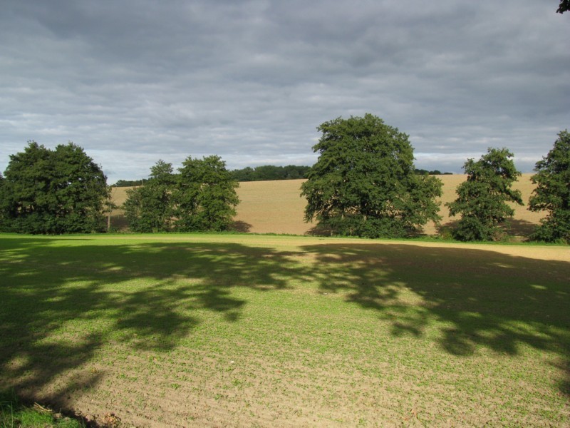 herbstliche Landschaft in Nordwestmecklenburg, 13.09.2008