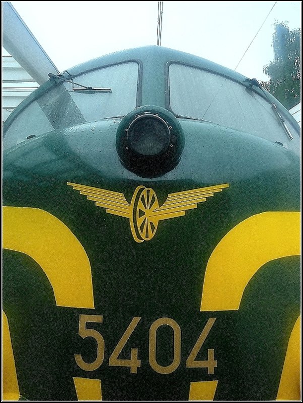 Rundnase in L�ttich. 18.05.08 (Jeanny)