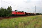 DB 232 704-7 (ex 132 704-8) mit Facns.133-Wagen (Berlin Wuhlheide, 29.06.2009 - Update: 09/2012 in N�rnberg Rbf abgestellt; 10/2012 nach Chemnitz �berf�hrt)