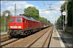 DB 232 529-8 mit Transwaggon-Wagen Richtung Berlin (gesehen Gr�nheide Fangschleuse 25.05.2010 - Update: 03/2013 in Halle G abgestellt)