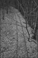�berreste der ehemaligen Anschlussbahn  AEG  Richtung Nordbahnhof auf H�he Berlin Gesundbrunnen (gesehen von der Alexander-von-Humbold-Br�cke)