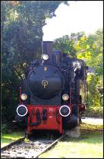 Dampflok  Ampflwang  der Berliner Eisenbahnfreunde stand beim Bahnhofsfest Lichtenberg fr Fhrerstandmitfahrten zur Verfgung (Bahnhofsfest Berlin-Lichtenberg 03.10.2010)