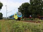 Abellio Westfalenbahn TRiebzug ET 413 und ET 404 bei �bergang Devesstrasse, Salzbergen 27-08-2025.


Abellio Westfalenbahn treinstel ET 413 en ET 404 bij de overweg Devesstrasse, Salzbergen 27-08-2025.
