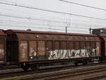 Hbbillns305 gro�r�umiger Schiebewandwagen mit Nummer 21 RIV 80 D-DB 2458 025-8 Bahnhof Amersfoort Centraal, Niederlande 20-02-2024.

Hbbillns305 twee-assige gesloten schuifwandwagen met nummer 21 RIV 80 D-DB 2458 025-8 station Amersfoort Centraal 20-02-2024.
