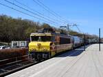 RRF (Rotterdam Rail Feeding) Lokomotive 4402 (91 84 1001 609-4 NL-RRF) mit Aufschrift:  1981-2021 40 jaar trouwe dienst!  Ex-NS 1609.