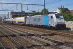 Lineas 186 254 zieht am 3 Juli 2026 ein KLV nach Hasselt und Aachen West durch Antwerpen-Berchem.