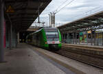 Zwei gekuppelte vierteilige elektrische Triebzüge der Baureihe 422 / 432 der S-Bahn Rhein-Ruhr (Betreiber DB Regio NRW), der Linie S1 (Dortmund – Essen – Duisburg – Düsseldorf – Solingen), erreichen am 16 Mai 2024 de ...