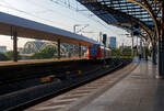 Zwei gekuppelte vierteilige ET 423 (423 796 / 426 296 und 423 757/423 257) der S-Bahn Köln (betrieben durch die DB Regio AG – NRW) verlassen am 18 Juni 2025, als Linie S 11 nach Bergisch Gladbach (Düsseldorf Flughafen – Düs ...