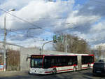 EVAG-Citaro 446 trägte passenderweise auch das Kennzeichen EF-CI 446.