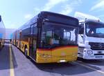(277'596) - CarPostal Ouest - VD 305'217/PID 10'356 - Solaris am 5.