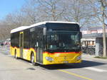 (215'229) - CarPostal Ouest - VD 259'968 - Mercedes am 15.