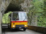 (277'467) - Lambach, Gommiswald - NW 24'301 - FBW/Eggli (ex Tanner+Lambach, Reigoldswil; ex Lambach, Rieden; ex Meier, Grt; ex AVG Grindelwald Nr.