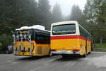 (280'159)  Buzzi, Bern - BE 910'789 - Mercedes (ex Mattli, Wassen/PID 2295) am 9.