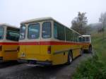 (155'605) - Schmid, Glarus - GL 4012 - Saurer/Tscher (ex Mosimann, Aesch; ex Erne, Full; ex P 24'257) am 12.