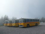 (239'778) - Roth, Zrich - SH 36'376 - Saurer/Tscher (ex Looser, Elm; ex Mattli, Wassen) am 28.