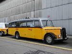 (262'069) - Kiener, Steinen - SZ 90'293 U - Saurer/Eggli (ex Marti, Luzern; ex P23'095; ex P 2147) am 4.