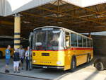 (276'985) - Gaudenz, Andeer - GR 1866 - Saurer/R&J (ex Mark, Andeer PID 2824; ex PostAuto Graubnden; ex P 24'350) am 19.