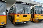 (279'664) - Schmid, Thrishaus - BE 20'206 - Saurer/Tscher (ex P 24'244) am 30.