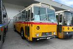 (279'676) - Zimmermann, Niederwangen -  P 24'632  - Saurer/Tscher (ex P 24'632) am 30. August 2025 in Oberkirch, CAMPUS Sursee