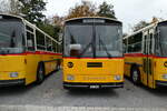 (281'435) - Gaudenz, Andeer - GR 1866 - Saurer/R&J (ex Mark, Andeer PID 2824; ex PostAuto Graubnden; ex P 24'350) am 12.