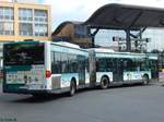 Mercedes Citaro I vom Verkehrsbetrieb Potsdam in Potsdam.