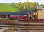 Die V 270.10 „Detlef T.“ alias 221 124-1 (92 80 1 221 124-1 D-SGL) der SGL - Schienen Güter Logistik GmbH (Dachau) steht am 17.04.2023 in Würzburg vor dem Ringlokschuppen,