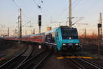 Einfahrt hat die NOB 245 206-8 mit SH - Express Wagen am 03.12.2016 auf Gleis 8 im Kopfbahnhof Hamburg Altona.