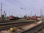 Blick in den Bahnhof Frankfurt/Oder, links 155 205-0 mit gedeckten G�terzug, daneben SU45 073, daneben eine 151 udn ganz recht 185. 29.05.08
