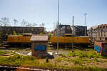 Die 203 314-0 (92 80 1203 314-0 D-DBMP) und die 203 303-3 (92 80 1203 303-3 D-DBMP) der DB InfraGO AG sind am 23 April 2026 beim Bahnhof Fulda abgestellt.