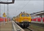 Die 218 304-4 der Bahnbau Gruppe braust am 12.10.2012 durch den Hauptbahnhof von Koblenz.
