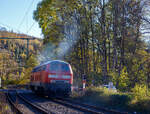 Die 218 191-5 (92 80 1218 191-5 D-MZE) der MZE - Manuel Zimmermann Eisenbahndienstleistungen, Hellenhahn-Schellenberg (Ww), ex DB 218 191-5, fährt am 04 November  2024, als Lz (Lokzug) bzw.