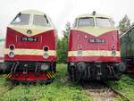119 199-8 und 118 731-9 im Eisenbahnmuseum Weimar am 05.08.2016.