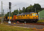 Die 233 493-6  „TIGER“ (92 80 1233 493-6 D-DB) bzw. Lok 13 der DB Bahnbau Gruppe, ex DB 232 493-7, ex DR 132 493-8, fährt am 20.08.2021, mit einem Bauzug (bestehend auch einigen Materialförder- und Silowagen  MSF-100 der MGW Gleis- und Weichenbau) , durch Betzdorf/Sieg in Richtung Köln.

Die remotorisierte  Ludmilla bzw. V 300 wurde 1977 von LTS (Luhanskyj Teplowosobudiwnyj Sawod auch bekannt als Lokomotivfabrik „Oktoberrevolution“  Lugansk (ehemals Woroschilowgrad)) unter der Fabriknummer 0728 gebaut und als 132 493-8 an die Deutsche Reichsbahn (DR) geliefert. Zum 01.01.1992 erfolgte die Umzeichnung in DR 232 493-7 und zum 01.01.1994 dann in DB 232 493-7. Im Jahre 2003 erfolgte dann der  Umbau und Remotorisierung im Ausbesserungswerk Cottbus mit einem neuen Zwölfzylinder-Viertakt-Dieselmotor vom Typ 12D49M, daraufhin erfolgte zum die Umzeichnung in DB 233 493-6. Im Jahr 2014 ging sie von der DB Schenker an die DB Bahnbau Gruppe.

Die Umbau-Baureihe 233:
Im Jahre 2002 begann man mit dem Stabilisierungsprogramm der BR 232, zur Erhöhung der Zuverlässigkeit, Verfügbarkeit und Wirtschaftlichkeit, sowie der Reduzierung der Emissionswerte, der Umbau bestand im Wesentlichen aus:
Die Lok der BR 232 erhielt nun einen direkteinspritzenden V-12-Zylinder-Viertakt-Dieselmotor des russischen Typs Kolomna 12D49M  einer Nennleistung von 2.206 kW und einer maximal eingestellten Traktionsleistung von 1.900 kW ausgerüstet worden. Da der Umbau für den russischen Motor am geringsten war, entschied man sich für den Einbau dieses Motors. Während der Originalmotor ein 16-V-Zylinder-Dieselmotor (Kolomna 5D49) war, ist der neue Motor nur noch ein 12-Zylinder-V- Dieselmotor. Der der neue Motor hat einen Hubraum von 165,6 l gegenüber 220,9 l des alten Motors, die fast gleiche Leistung wird u.a. durch einen höheren Ladedruck erreicht. Dieser wurde von 1,3 bar auf nun 2,1 bar erhöht. Aber auch der Einspritzdruck (Beginndruck 380 bar gegenüber 320 bar) und der max. Verbrennungsdruck (140 bar gegenüber 115 bar) sind entsprechend höher.
Wie auch beim alten Motor können einzelne Zylindergruppen zur Dieseleinsparung bei Nichtbedarf abgeschaltet werden. Insgesamt wurden 65 Lokomotiven mit dem neuen Motor Typ Kolomna 12D49M ausgestattet und zur Unterscheidung als Baureihe 233 bezeichnet, dabei wurden die alten Ordnungsnummern beibehalten. 

Systemänderungen gegenüber dem 5D49 bestehen vor allem im Zweikreiskühlsystem, der Ausstattung mit zwei Ölwärmetauschern und der Notabstellung mittels Notstopp bzw. Luftabsperrklappe.
Die veränderte Lage des Abgasturboladers des 12D49M gegenüber dem 5D49 im Lokkasten erforderte außerdem den Einbau eines gekürzten Schalldämpfers. Weiterhin wurde die Verbrennungsluftanlage auf eine mit vier Papierfiltereinsätzen bestückte einseitige Luftansauganlage umgerüstet. 

TECHNISCHE DATEN der BR 233:
Spurweite: 	1.435 mm (Normalspur)
Achsformel: Co’Co’
Länge über Puffer: 20.820 mm
Achsabstand im Drehgestell:  2 x 1.850 mm (3.700 mm)
Dienstgewicht: 122t
Radsatzfahrmasse:  20,4 t 
Anfahrzugkraft: 294 kN
Dauerzugkraft: 194 kN
Höchstgeschwindigkeit: 120 km/h
Treibraddurchmesser: 	1050 mm
Motorart: direkteinspritzender V-12-Zylinder-Viertakt-Dieselmotor mit Abgasturbolader und Ladeluftkühlung, 4 Ventile pro Zylinder
Motorentyp: Kolomna 12D49M
Motorleistung: 2.206kW (2.999 PS) bei 1.000 U/min
Motorhubraum: 165,6 l
Ladeluftdruck: 2,1 bar
Einspritzbeginndruck: 380 bar
Max. Verbrennungsdruck: 140 bar
Motorgewicht (trocken): 17.750 kg
Leistungsübertragung: elektrisch
Traktionsgeneratortyp: GS-501A
Traktionsgeneratorleistung: 	2.190kW
Traktionsleistung: 1.830 kW (6 x 305 kW)
Anzahl der Fahrmotoren: 6 (á 305 kW)
Fahrmotortyp: ED 118 A
Tankinhalt: max. 6000 l
