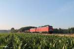 232 359-0 + 232 384-8 mit dem 45367 NN-Cheb fr�hs 6:42 Uhr bei Oberteich.