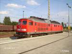 232 663-5 mit Versuchsl�ftern rollt durch Frankfurt/Oder.