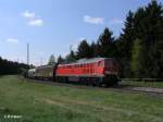 233 698-0 mit gemischten G�terzug bei F�hring.
