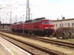 233 112-2 wird in Cottbus wieder die n�chste Leistung bereit gemacht.