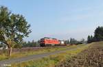 233 040-5 zieht ein kurzen G�terzug von Hof nach N�rnberg bei Marktleuthen.