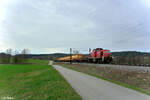 294 645-7 mit der Sonntags �bergabe N�rnberg - Neumarkt/Oberpfalz bei P�lling.