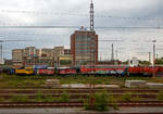 Abgestellt im Münster am 31 Mai 2022 aus unseren IC aufgenommen, (von links nach rechts):

Die Köf III (mit GW und Funk) Behefa 335-202  (98 80 3335 220-0 D-LUW), ex DB Bahnbau Gruppe 335 220-0 (98 80 3335 220-0 D-DB), ex DBG - Deutsche Bahn Gleisbau, ex DB 335 220-0 (1991-94), ex DB 333 220-2, Baujahr 1977 von O&K unter Fabriknummer 26930.

Die Köf III (mit Rollenketten BR 332) Behefa 332-00x, ex LSD - Lokservice Sascha Dehn, ex DB bis ca. 2007 als Gerät im internen Verschub, ex DB 332 221-1 (1964 bis 1994), ex DB Köf 11 221, Baujahr 1964 von Gmeinder (Mosbach) unter Fabriknummer 5387.

Die Köf III (mit Rollenketten BR 332) Behefa 332-00x, ex Werks Lok Nr. 4 Fichtl Lagerhausbetrieb GmbH in Saal an der Donau (1997 bis 2015), ex DB 332 051-2, ex DB Köf 11 051, Baujahr 1963 von Gmeinder (Mosbach) unter Fabriknummer 5292.

Die V163 - L&W 215 135-5 (92 80 1225 135-3 D-LUW) der Laeger & Wöstendörfer GmbH & Co. KG, ex DB 225 135-3, ex DB 215 135-5, Baujahr 1970 von Henschel & Sohn in Kassel unter Fabriknummer 31480.

Die V 95 - L&W 295 083-0 (98 80 3295 083-0 D-LUW) der Laeger & Wöstendörfer GmbH & Co. KG, ex DB 295 083-0 (98 80 3295 083-0 D-DB) bis 2016, Baujahr 1977 von Maschinenbau Kiel GmbH in Kiel (MaK) unter Fabriknummer 1000756.
