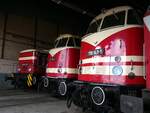 V 60 1120 und 118 782-3 und 118 141-1 im Sächsischen Eisenbahnmuseum in Chemnitz am 19.04.2017.
