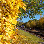 Herbstzeit oder Indian Summer in Herdorf.....