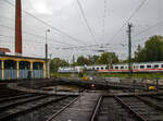 Die Europalok 101 057-8  (91 80 6101 057-8 D-DB)  Bahn für Europa  fährt (schiebend/Steuerwagen voraus) mit einem IC von Freilassing weiter in Richtung München.