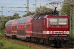 DB 143 250 fahrt wieder in Originalfarben und schiebt am 18 September 2026 der S1 nach Dresden Hbf bzw Dresden-Flughafen aus Pirna aus.