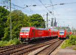 
Paralleleinfahrt zweier RE der DB Regio NRW in den Bahnhof Köln Messe/Deutz am 01.06.2019.
Die 146 274 (91 80 6146 274-6 D-DB) mit dem RE 5 “Rhein-Express“ nach Wesel. 
Davor (rechts im Bild) der ET 425 098-1 als RE 8 “Rhein-Erft-Express“ z.Z. nur bis Troisdorf fahrend.

Die 146 274-6 wurde 2015 von Bombardier in Kassel gebaut.