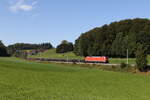 152 043 war am 18. September 2024 mit einem Stahlzug bei Axdorf auf dem Weg nach Freilassing.