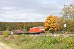 185 081-8 mit gemischtem Güterzug bei Urspring am 17.10.2012.