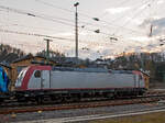 Seitenportrait der 185 592-3.....
Die an die LTE Logistik- und Transport GmbH vermietete 185 592-3 (91 80 6185 592-3 D-BRLL) der Beacon Rail Leasing Ltd. (London) fährt am 20.03.2022, mit der kalten LTE 193 697-0 (91 80 6193 697-0 D-LTE) und einem KLV-Zug, durch Betzdorf (Sieg) in Richtung Köln.

Die TRAXX F140 AC2 wurde 2008 von Bombardier in Kassel unter der Fabriknummer 34216 gebaut. Sie hat die Zulassungen für Deutschland, Österreich und die Schweiz.
